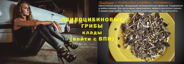 гидра Ростов