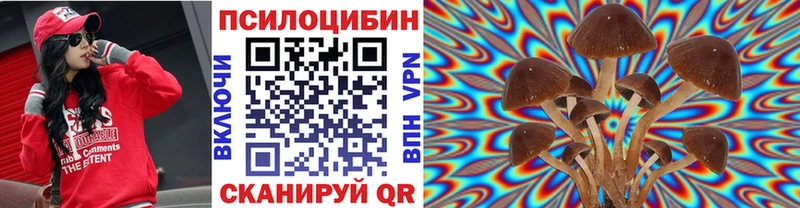 Псилоцибиновые грибы прущие грибы  Жуков 